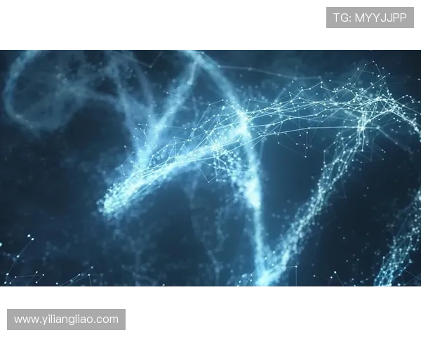 星空体官网登录入口官方渠道推荐确保用户安全登录体验