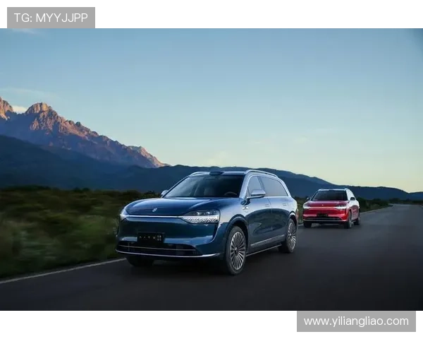 乐动胜体育公司实现数字化转型带来的业务模式创新及行业影响力提升 乐动胜体育公司实现数字化转型带来的业务模式创新及行业影响力提升