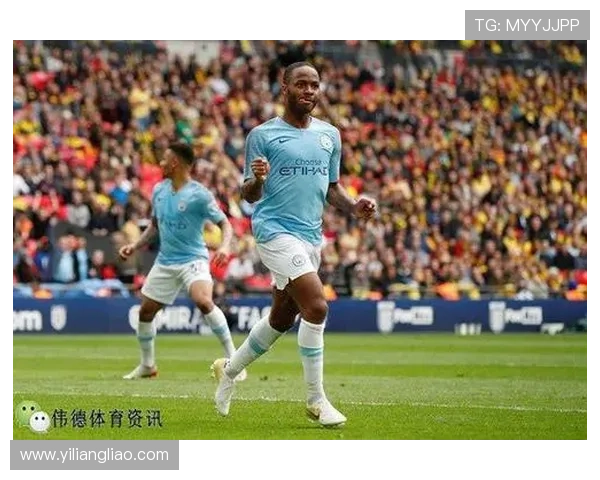 伟德足球:详尽的比赛数据分析帮助你提升足球知识与竞猜技巧 伟德足球:详尽的比赛数据分析帮助你提升足球知识与竞猜技巧