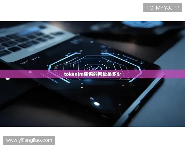 如何快速访问星空体育线上网址并安全下载最新版本软件